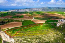 Property 58845 photo 4