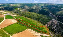 Land 4480 m² in Paphos