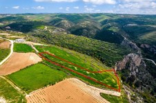 Property 58845 photo 1