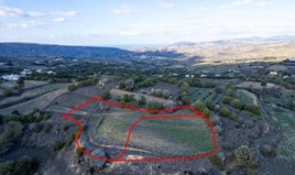 Land 6690 m² in Paphos