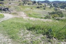 Property 58859 photo 3