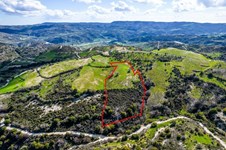 Property 58864 photo 4