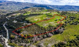 Land 12041 m² in Paphos