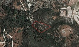 Land 6689 m² in Limassol