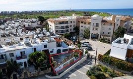 Business 84 m² in Paphos