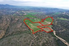 Property 58901 photo 2