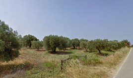 Land 689 m² auf Kassandra (Chalkidiki)