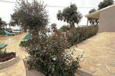 Property 59047 photo 33