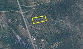 Land 3000 m² in Chalkidiki