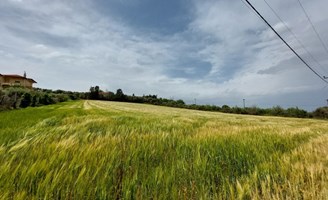 Land 5000 m² in den Vororten von Thessaloniki