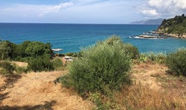 Land 6294 m² auf Korfu
