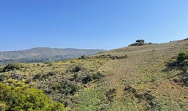 Land 35000 m² auf Kreta