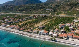 Land 10300 m² in Peloponnese