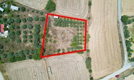 Land 2342 m² in Nicosia