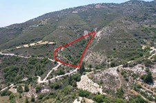 Property 59484 photo 2