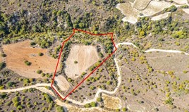 Land 14047 m² in Limassol