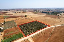 Property 59491 photo 5