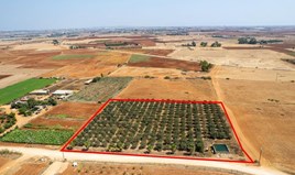 Land 9384 m² in Agia Napa