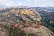 Property 59492 photo 2