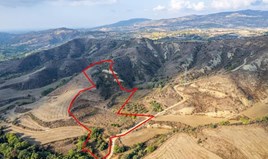 Land 20736 m² in Paphos