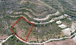 Land 5686 m² in Limassol