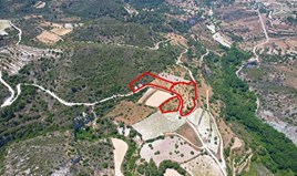 Land 12785 m² in Limassol