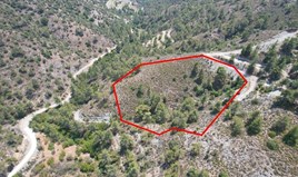 Land 7358 m² in Limassol