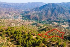 Property 59496 photo 3