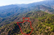 Property 59496 photo 1