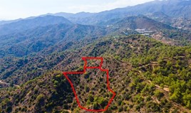 Land 14048 m² in Limassol