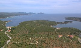 Land 23000 m² in Sithonia, Chalkidiki