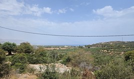 Land 9039 m² in Crete