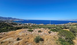 Land 5462 m² in Crete