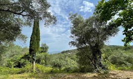 Land 5020 m² in Corfu
