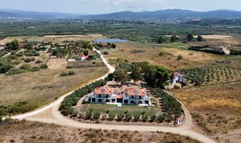 Karmaşık 500 m² Sithonia’da (Chalkidiki)