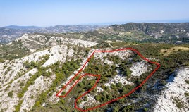 Land 13378 m² in Limassol