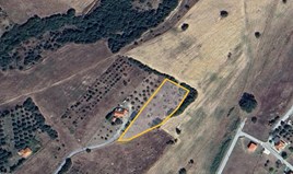 Land 2478 m² auf Athos (Chalkidiki)