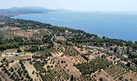 Land 6065 m² auf Sithonia (Chalkidiki)