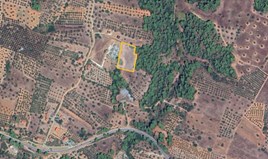 Land 4553 m² in Sithonia, Chalkidiki