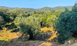 Land 1047 m² in Corfu