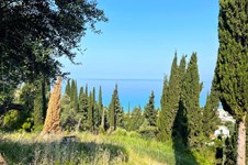 Property 60216 photo 10