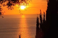 Property 60216 photo 27