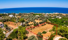 Land 1987 m² in Paphos