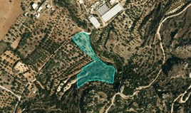 Land 7018 m² auf Kreta