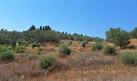 Land 6500 m² in Corfu