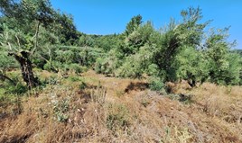 Land 2564 m² in Corfu