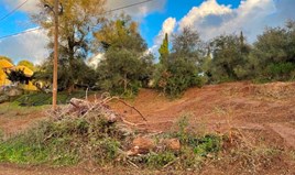 Land 4028 m² in Corfu