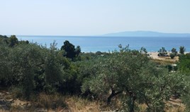 Land 4000 m² in Athos, Chalkidiki