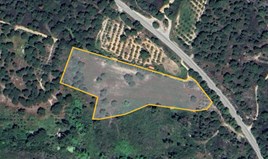 Land 18000 m² auf Sithonia (Chalkidiki)