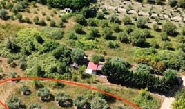 Land 682 m² auf Sithonia (Chalkidiki)